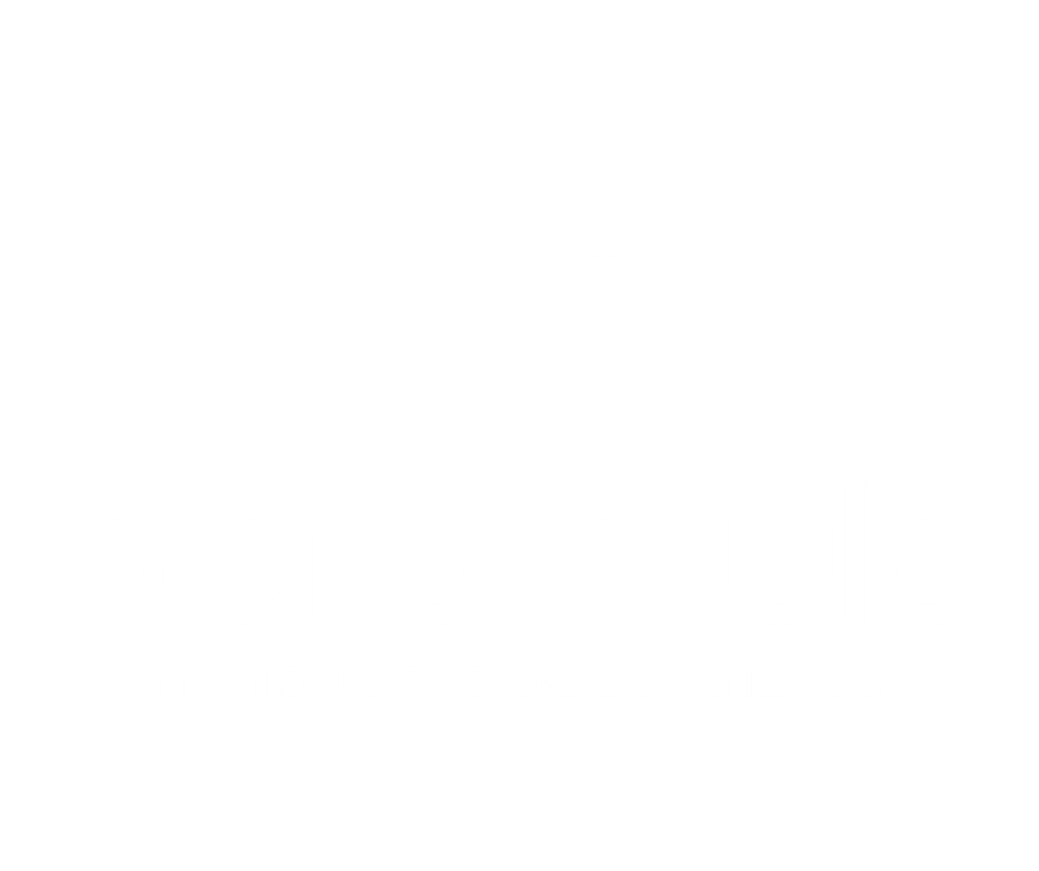 Logo BM Premium